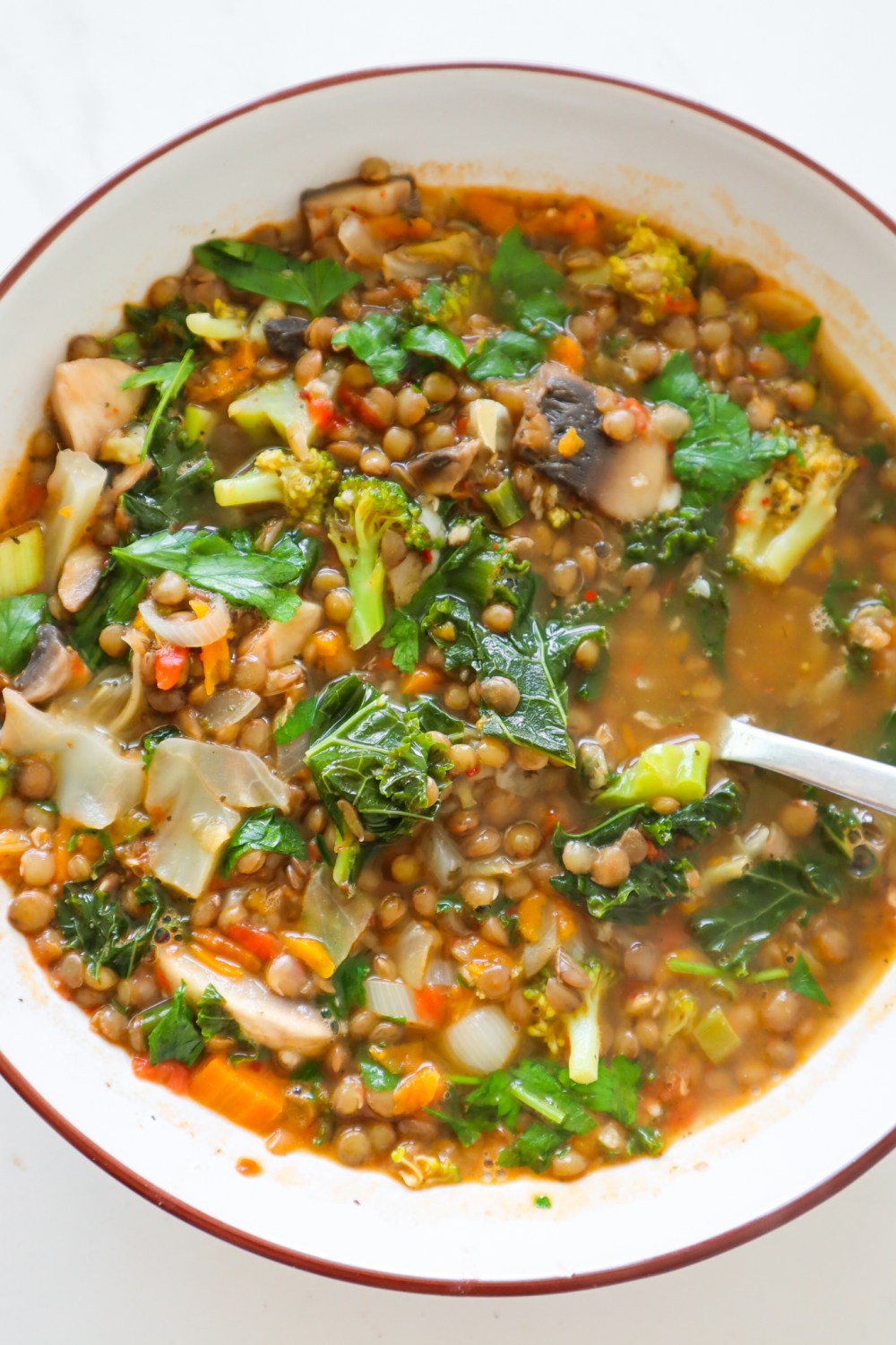 Lentil vegetable soup