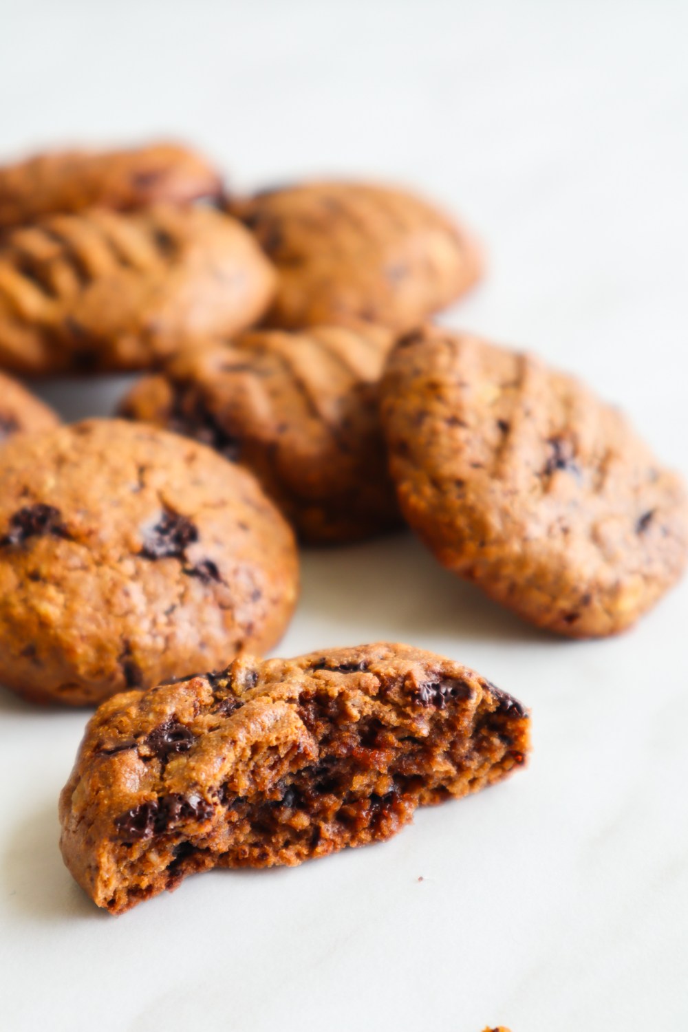 gluten free peanut butter chocolate oatmeal cookies